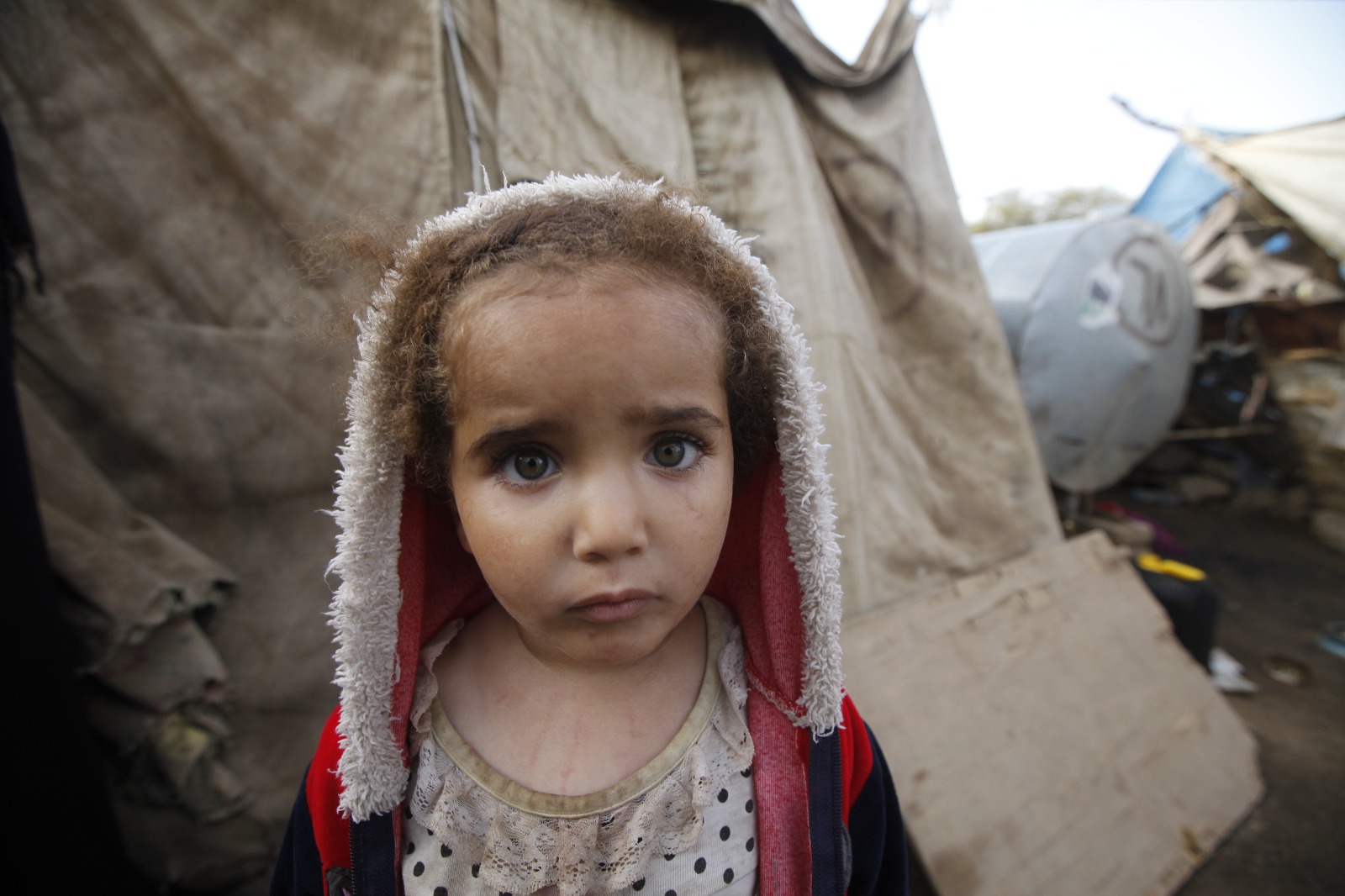 ba699e63-0c22-4063-9465-c1ead3c2e56a